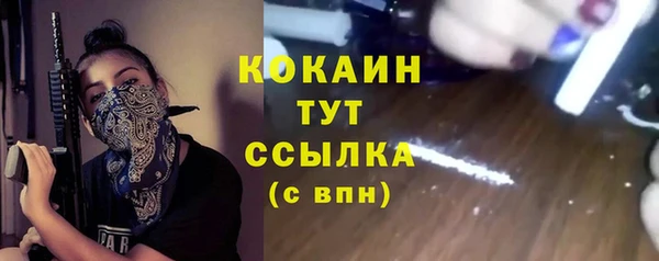 индика Нефтегорск