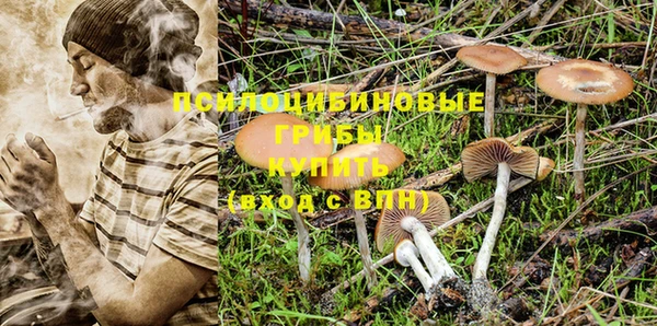 хмурый Надым